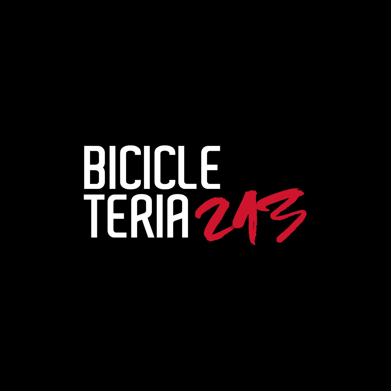 bicleteria 213